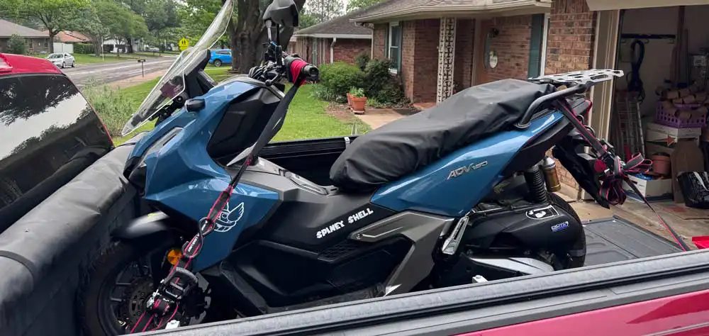 Scooter Guy